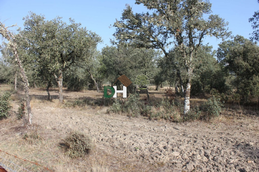 For sale of land in Cáceres