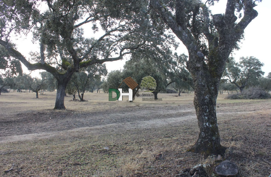 For sale of land in Cáceres