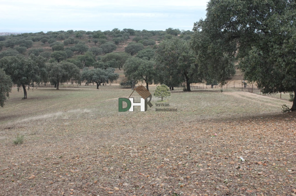 For sale of land in Badajoz