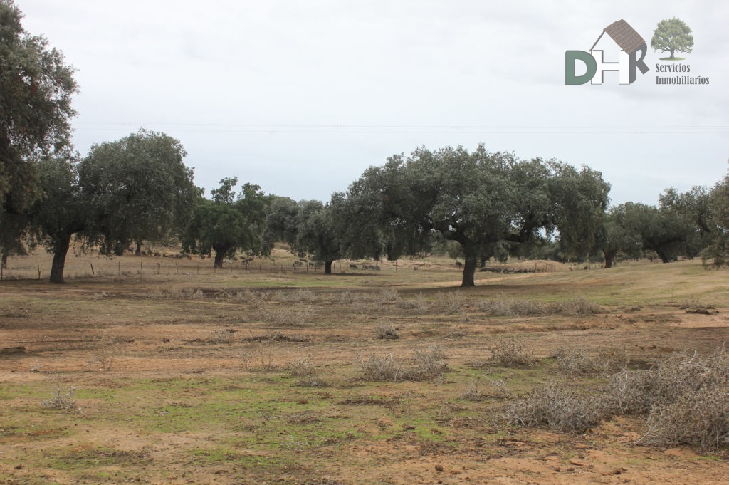 For sale of land in Badajoz