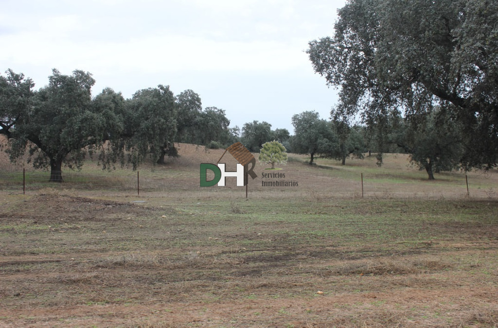 For sale of land in Badajoz