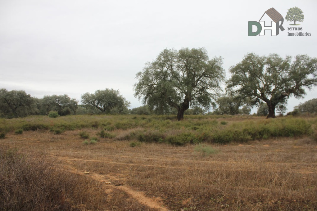 Venta de terreno en Badajoz