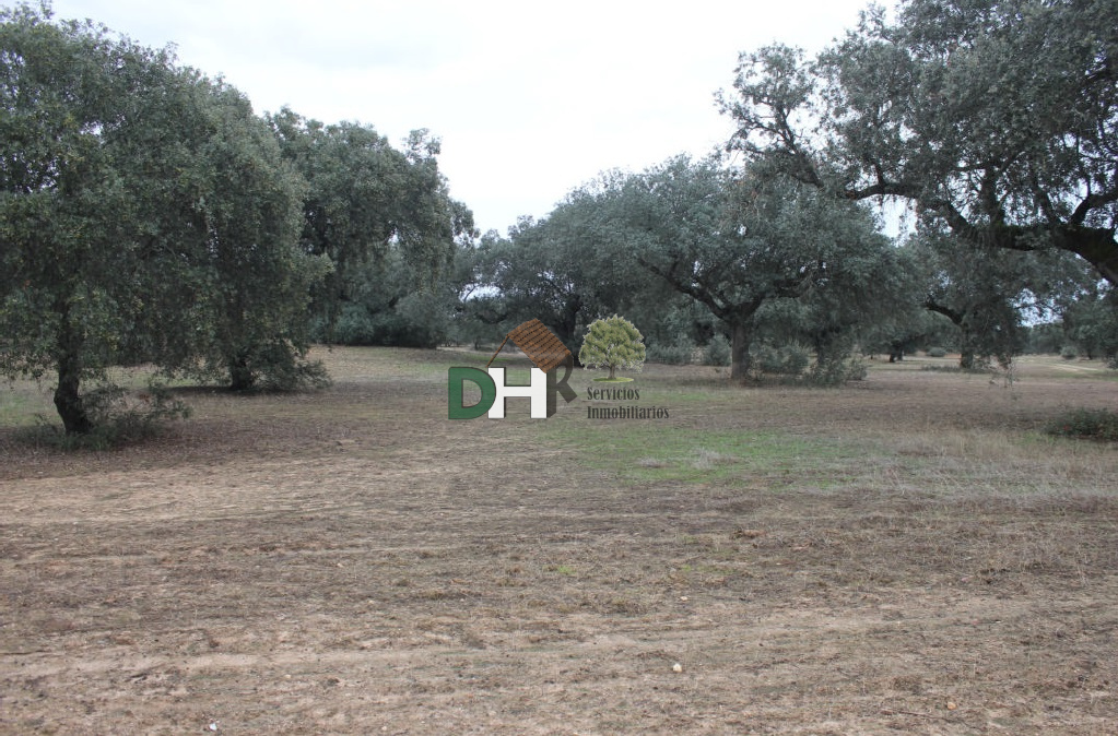 For sale of land in Badajoz