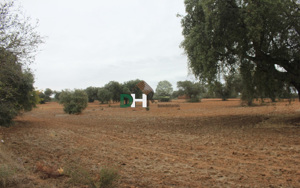 Venta de terreno en Badajoz