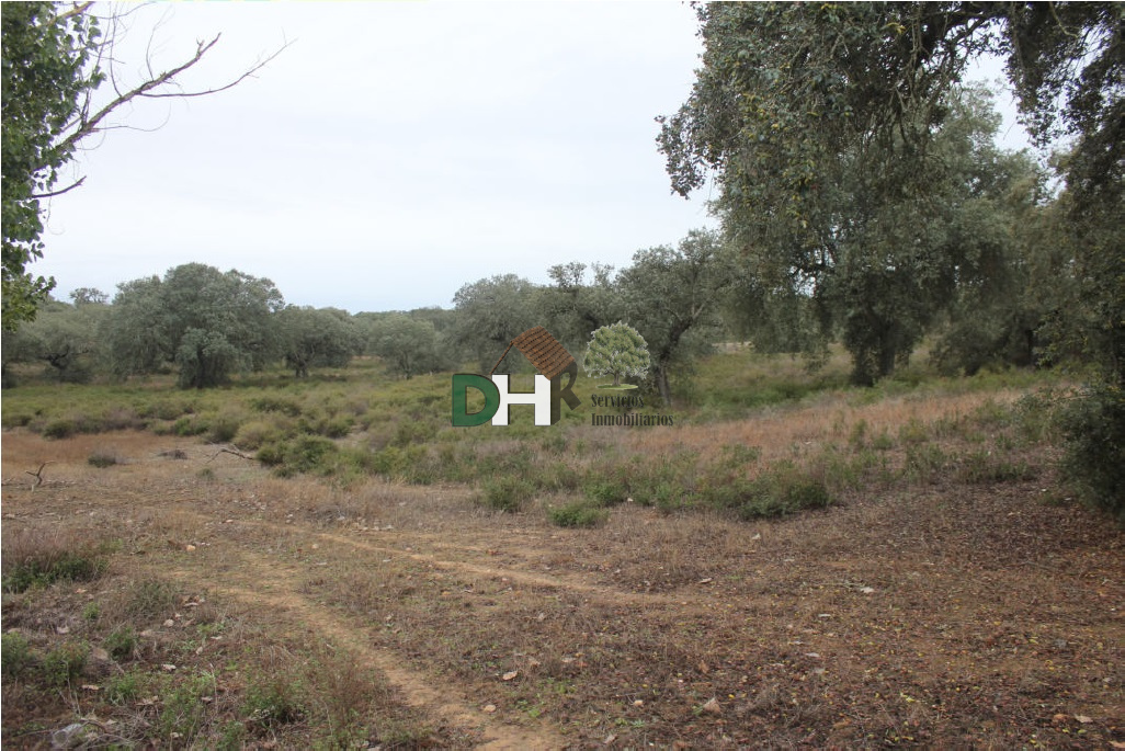 For sale of land in Badajoz