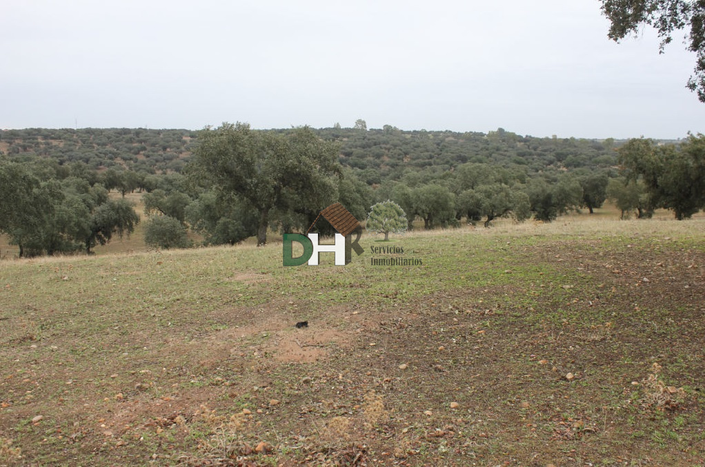 For sale of land in Badajoz