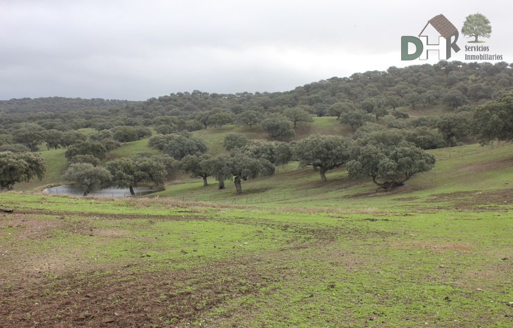 Venta de terreno en Cáceres