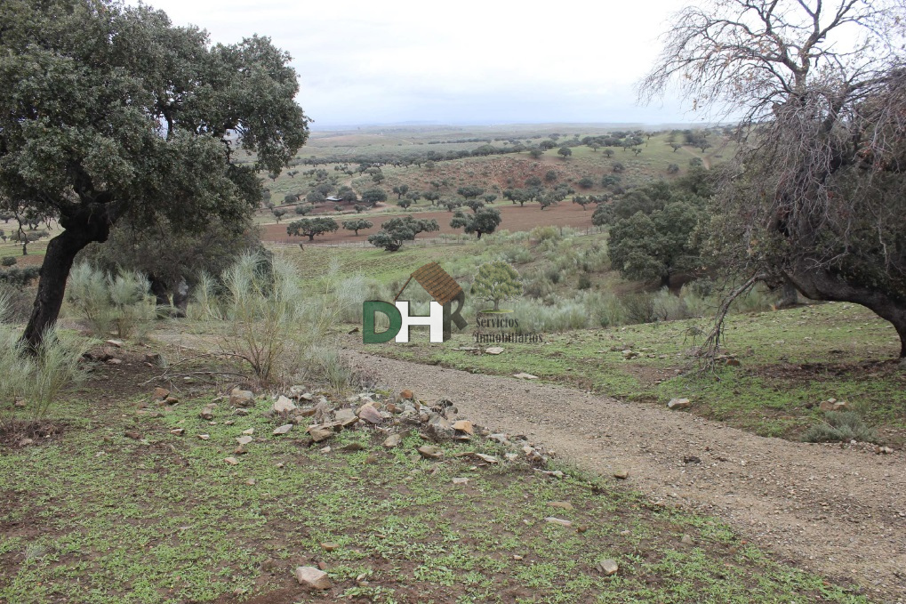 Venta de terreno en Cáceres