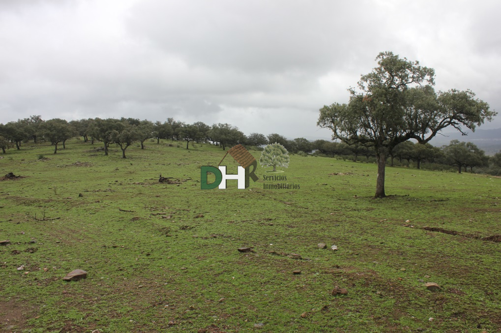 For sale of land in Cáceres