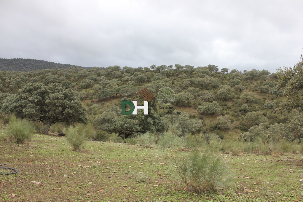 For sale of land in Cáceres