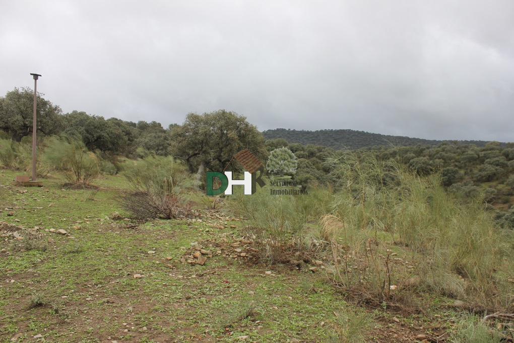 For sale of land in Cáceres