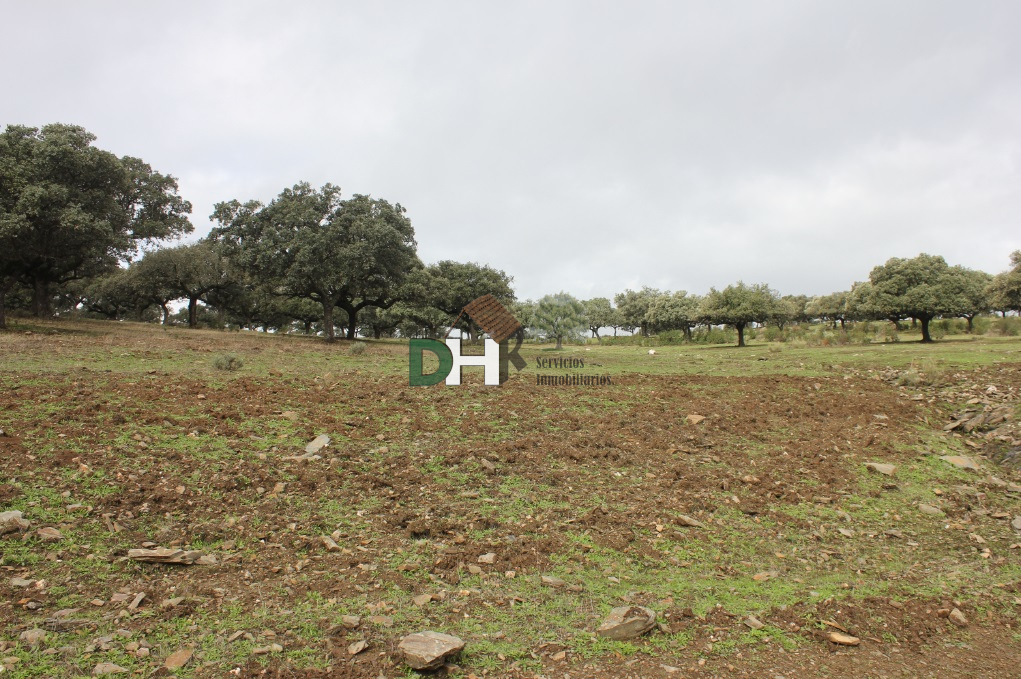 For sale of land in Cáceres