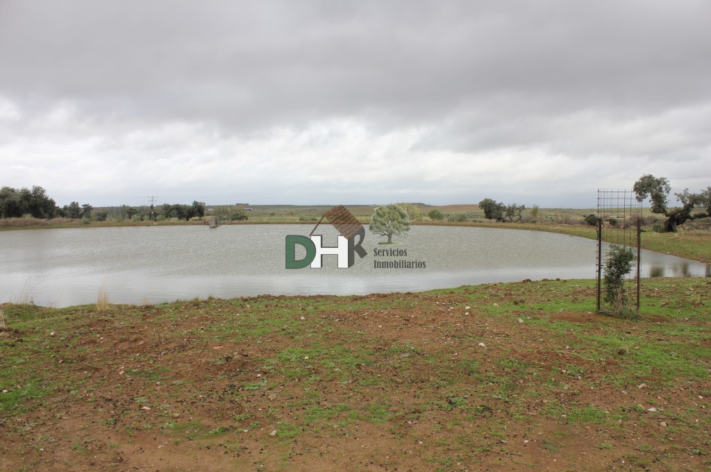 For sale of land in Cáceres