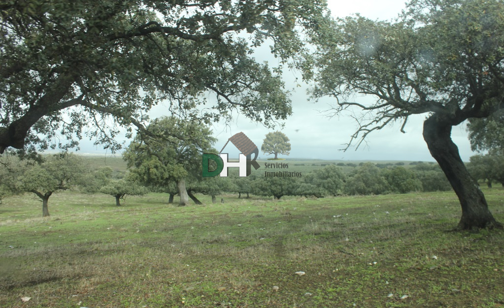 Venta de terreno en Cáceres