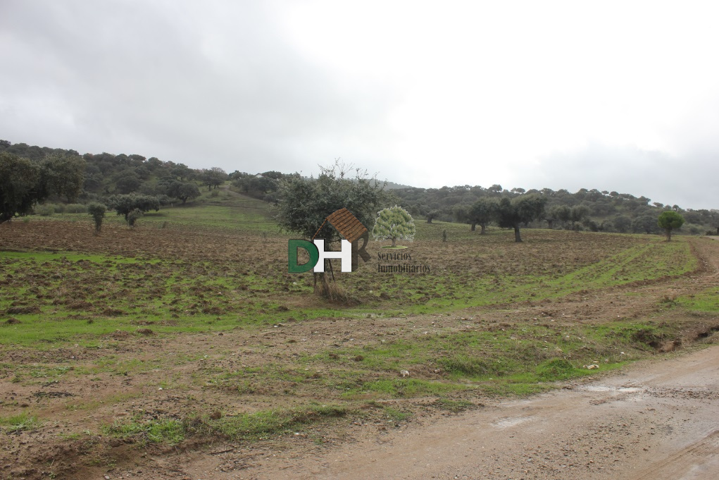 For sale of land in Cáceres