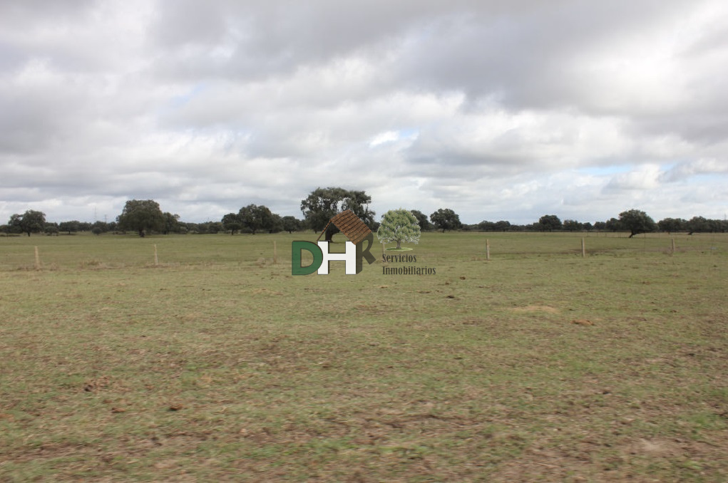 For sale of land in Cáceres