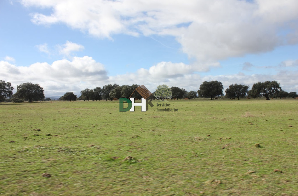 For sale of land in Cáceres