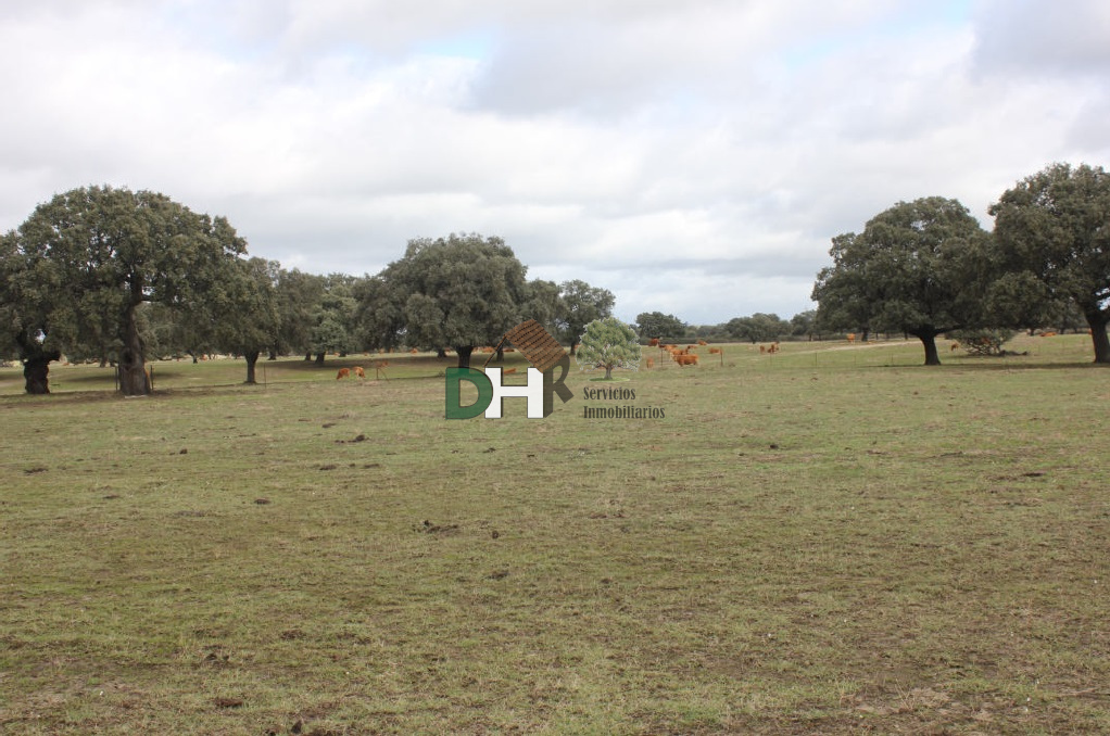 For sale of land in Cáceres