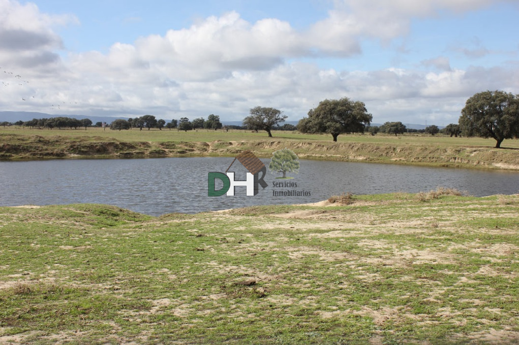 For sale of land in Cáceres