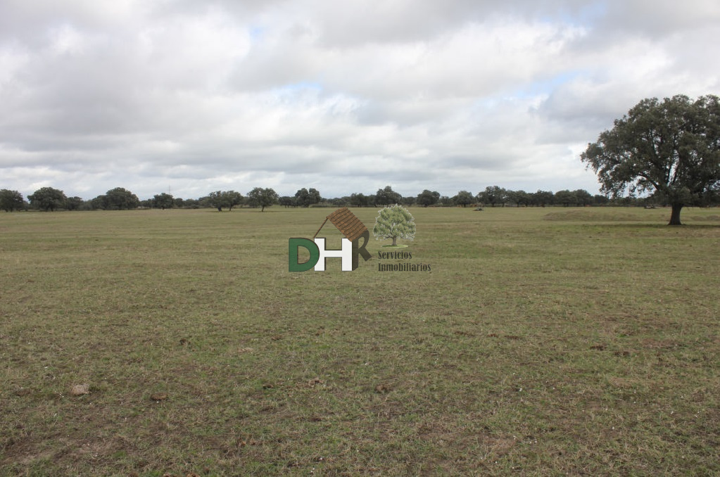 For sale of land in Cáceres