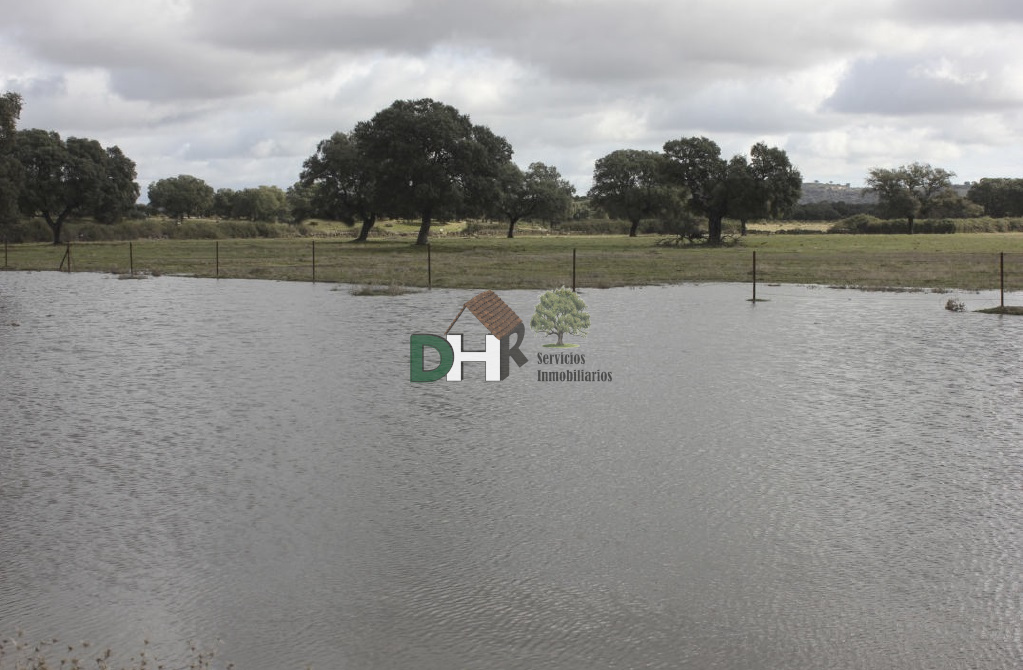 For sale of land in Cáceres