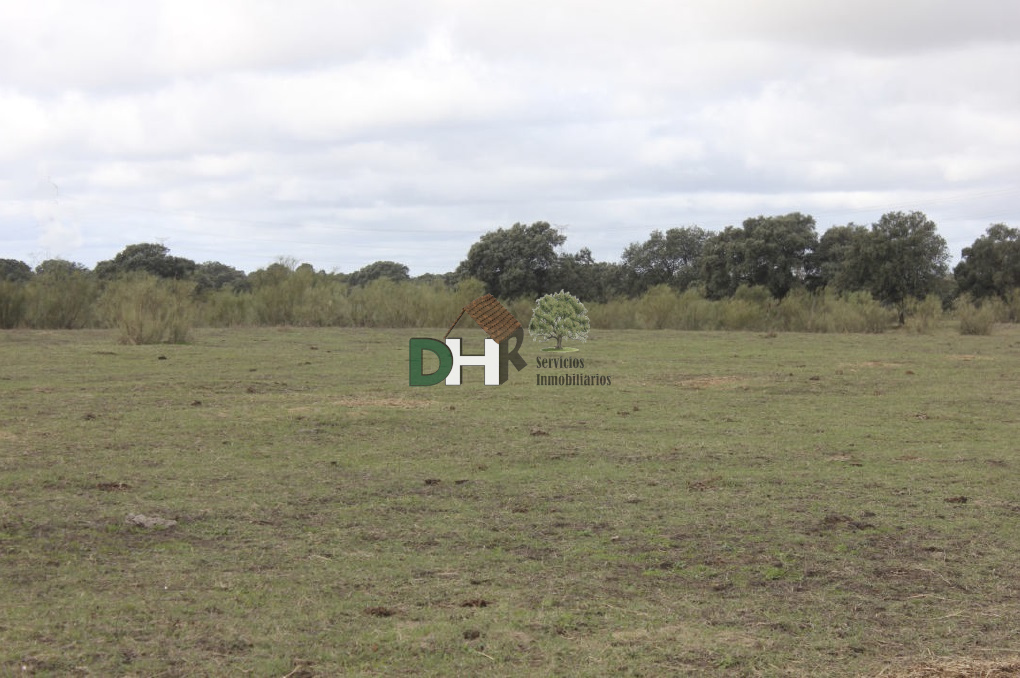 For sale of land in Cáceres