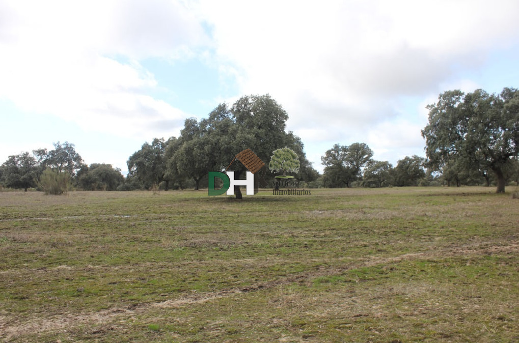 For sale of land in Cáceres