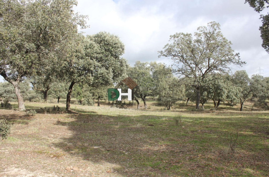 For sale of land in Cáceres