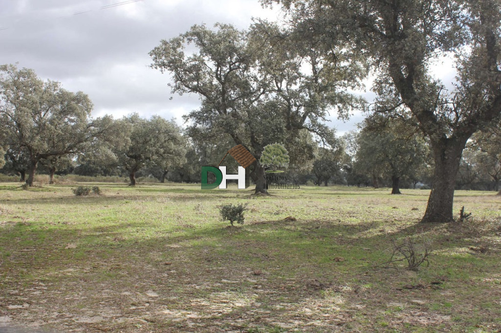 For sale of land in Cáceres