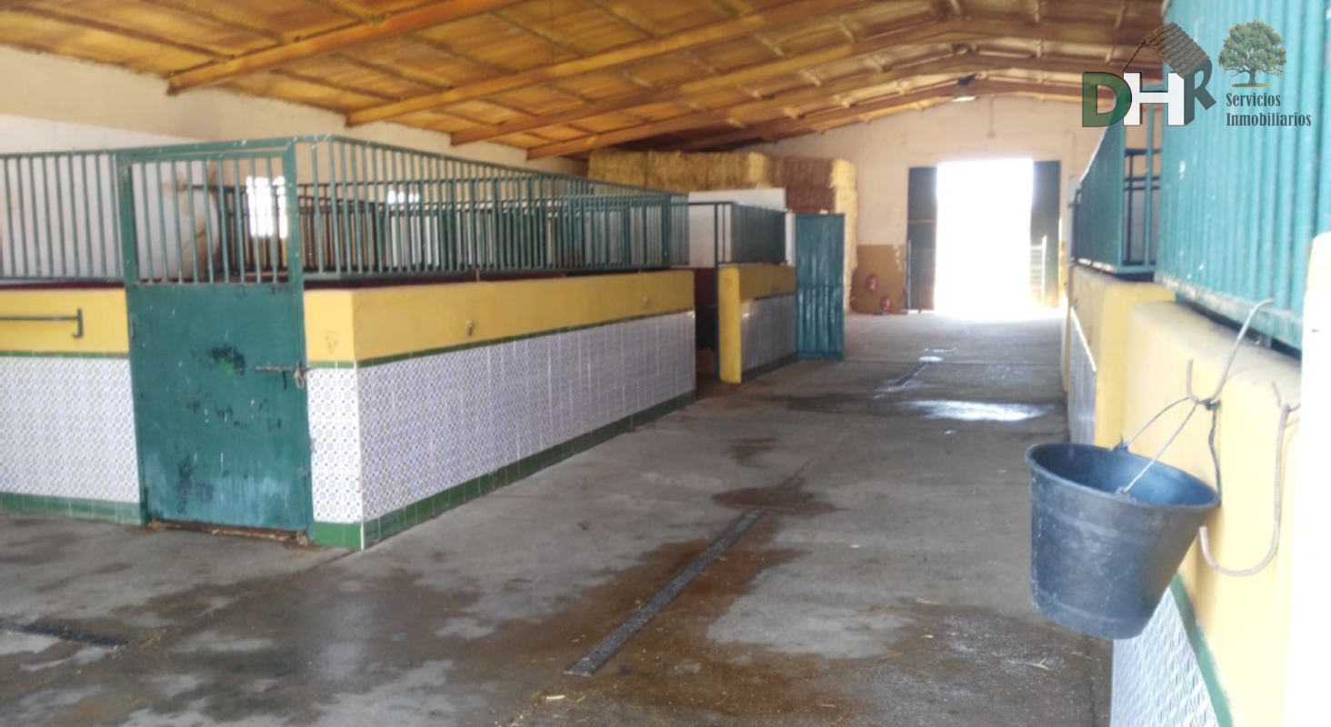 For sale of land in Badajoz