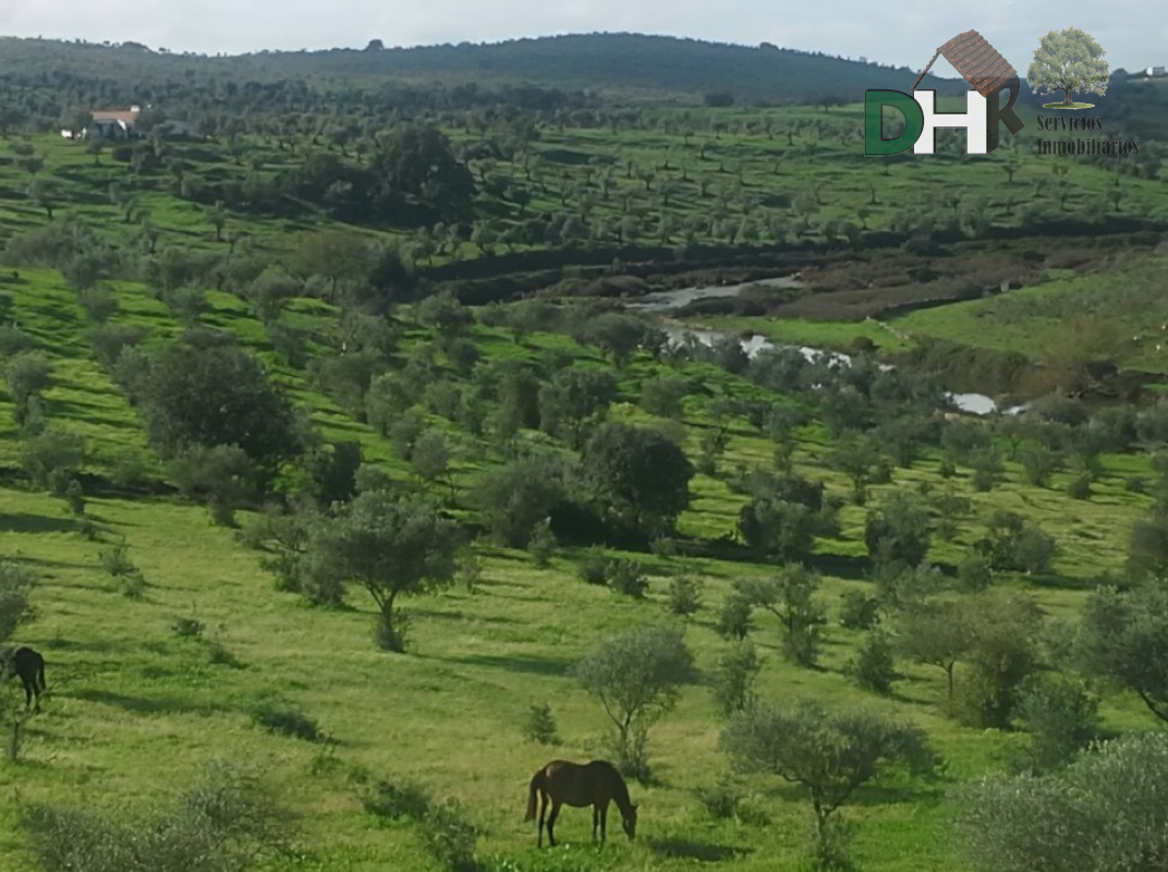 For sale of land in Badajoz
