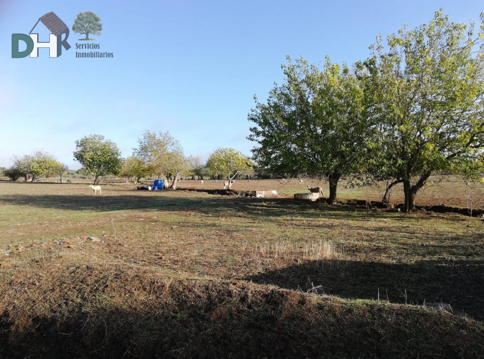 For sale of land in Badajoz
