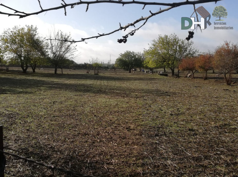 For sale of land in Badajoz