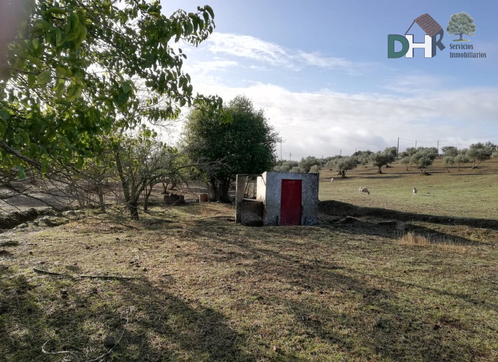 For sale of land in Badajoz