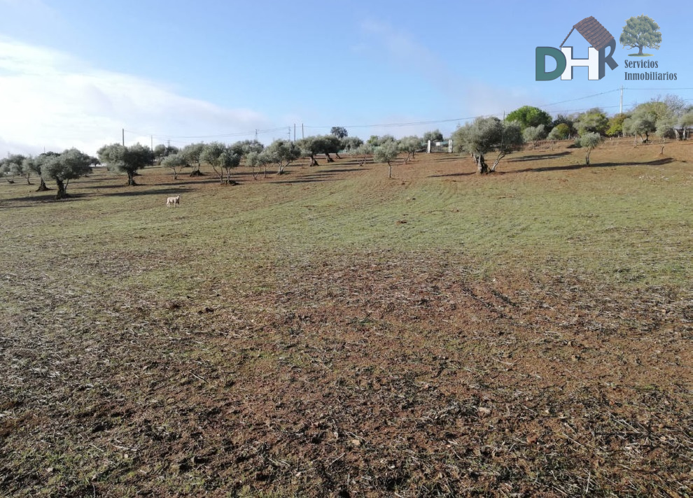 For sale of land in Badajoz