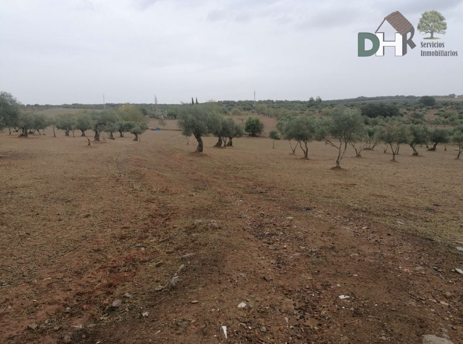 For sale of land in Badajoz