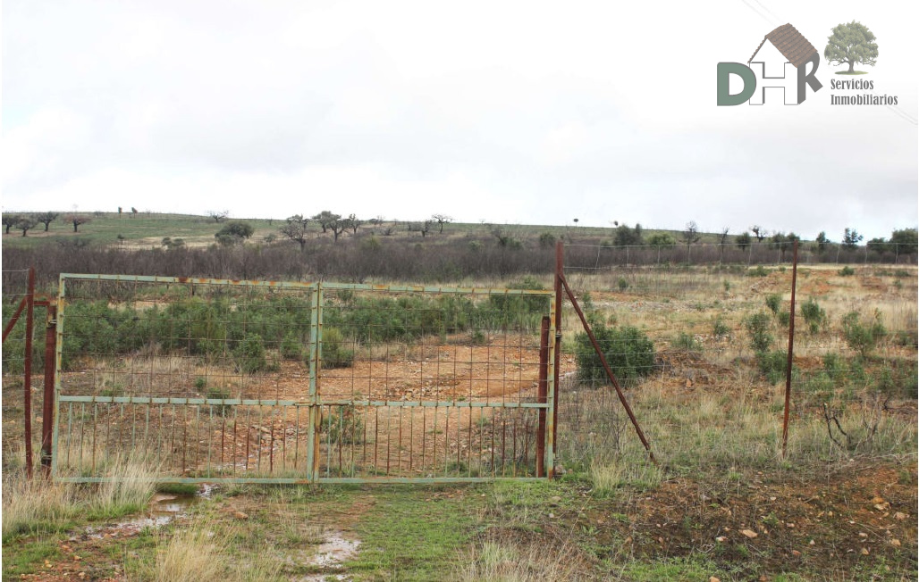 For sale of land in Cáceres