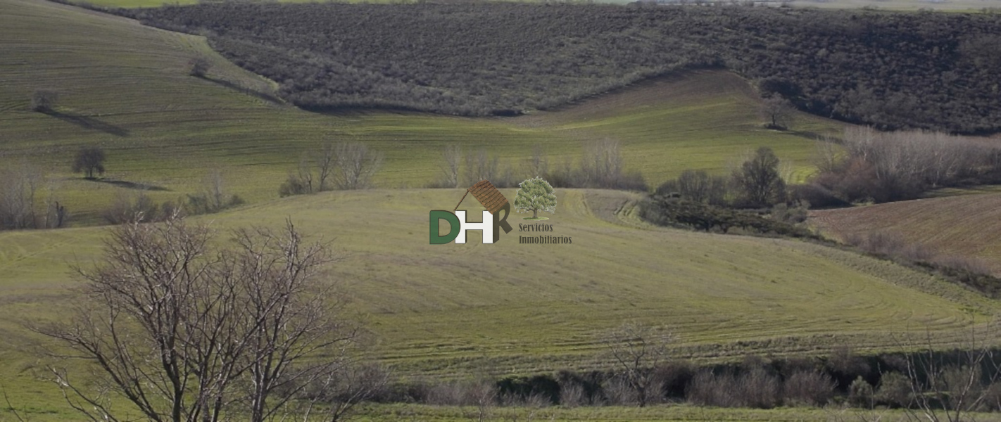 For sale of land in Madrid