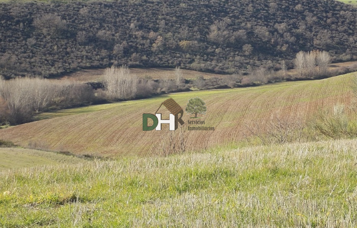 For sale of land in Madrid