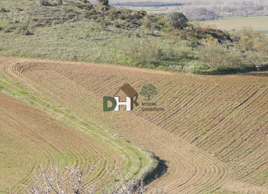 For sale of land in Madrid