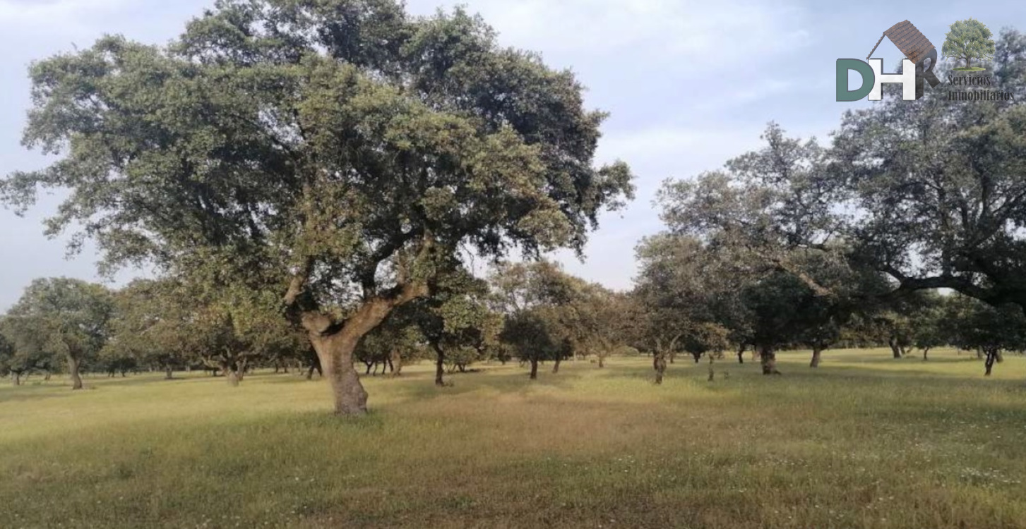 For sale of land in Segovia