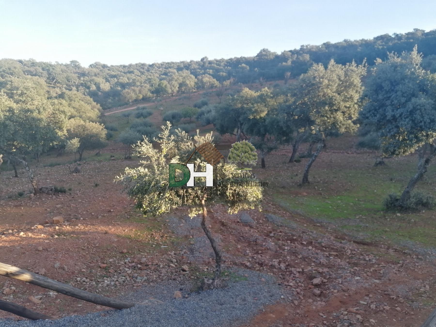 Venta de casa en Cáceres