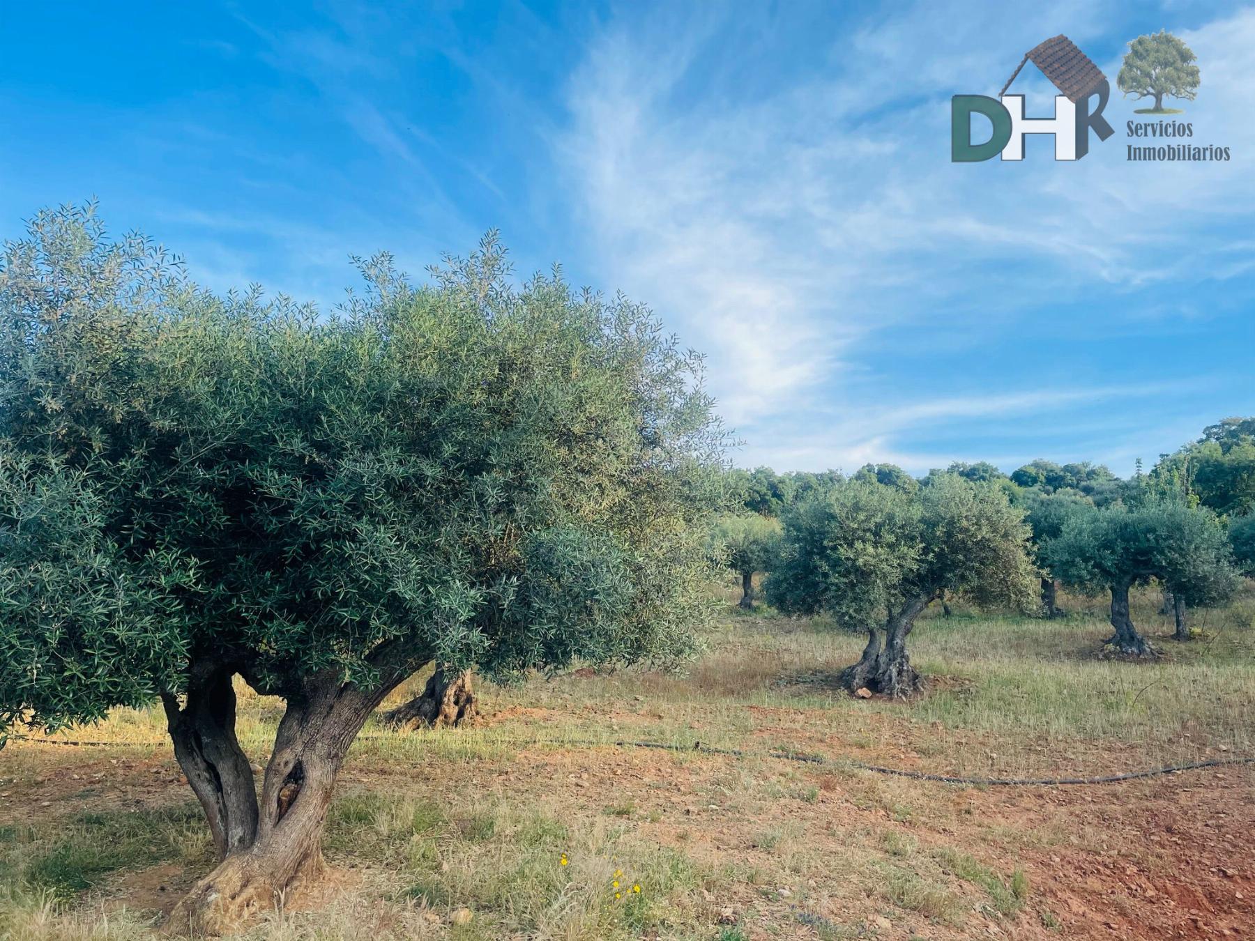 For sale of house in Cáceres