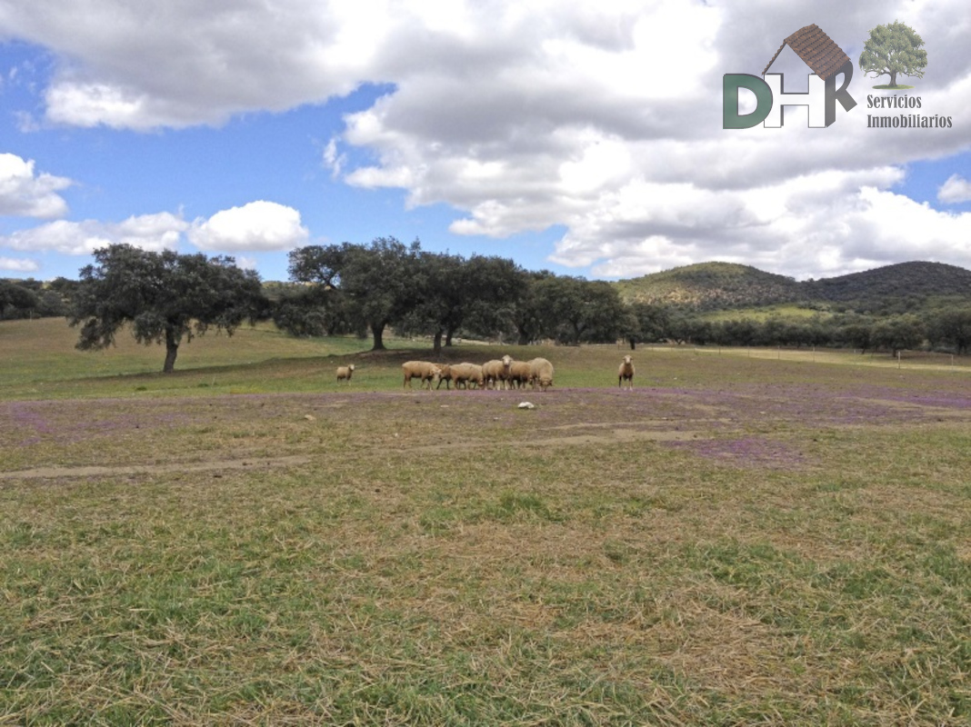 For sale of land in Badajoz