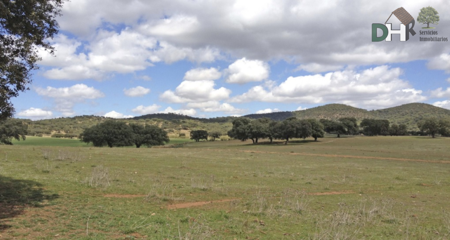 For sale of land in Badajoz