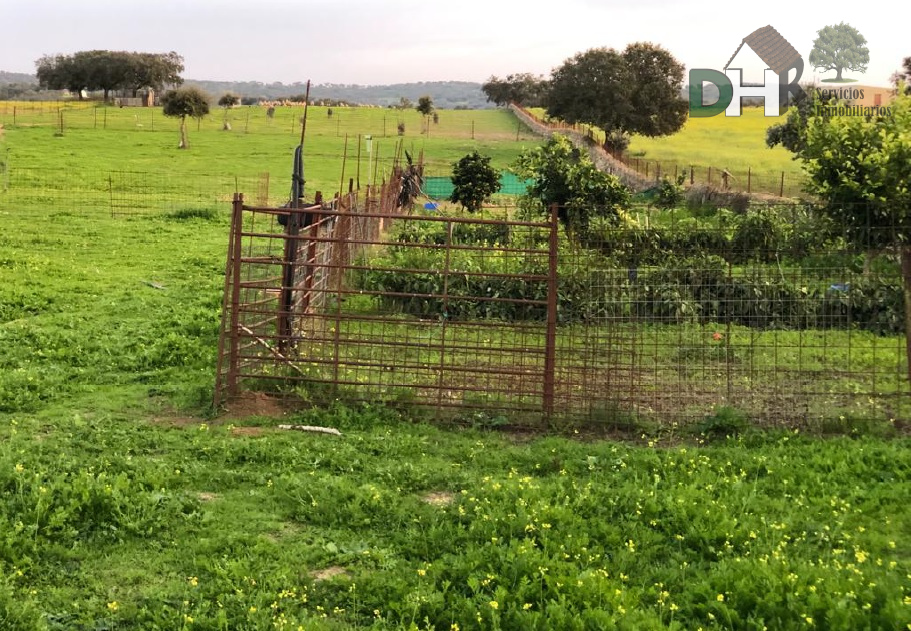 For sale of land in Badajoz