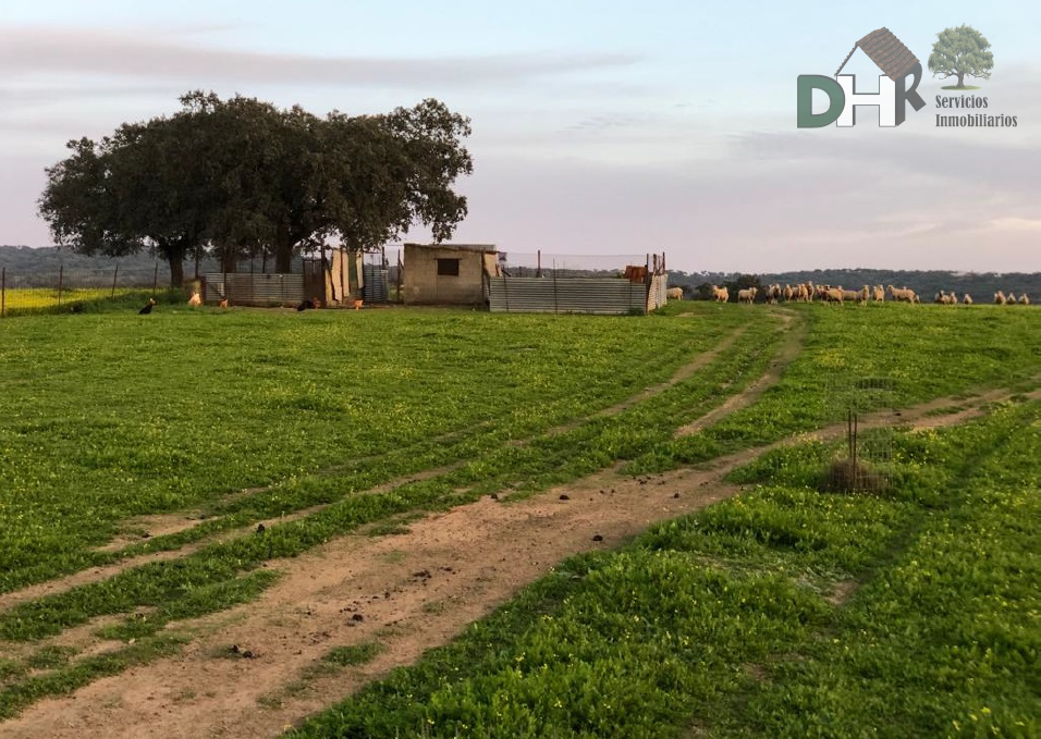 Venta de terreno en Badajoz