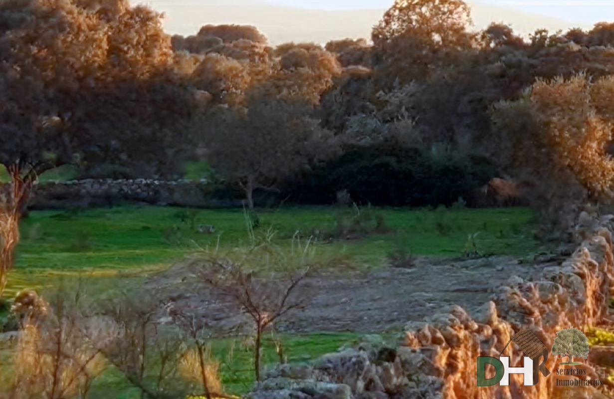 Venta de terreno en Cáceres