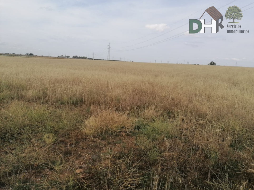 For sale of land in Badajoz