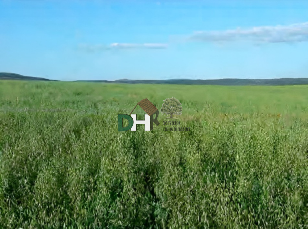 For sale of land in Badajoz